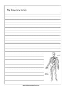 Circulatory System Notebooking Page