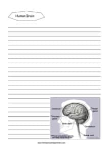 Human Brain Notebooking Page