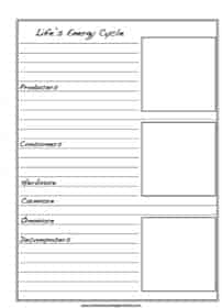 Life Energy Cycle - Producers and Consumers Notebooking Page