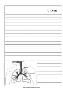 Human Lungs Notebooking Page