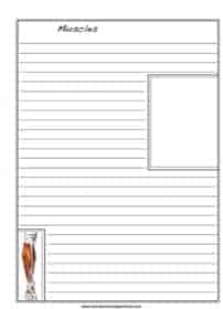 Muscles Notebooking Page