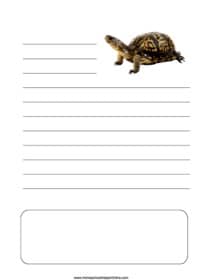 Turtle Notebooking Page