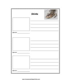 Skinks Notebooking Page