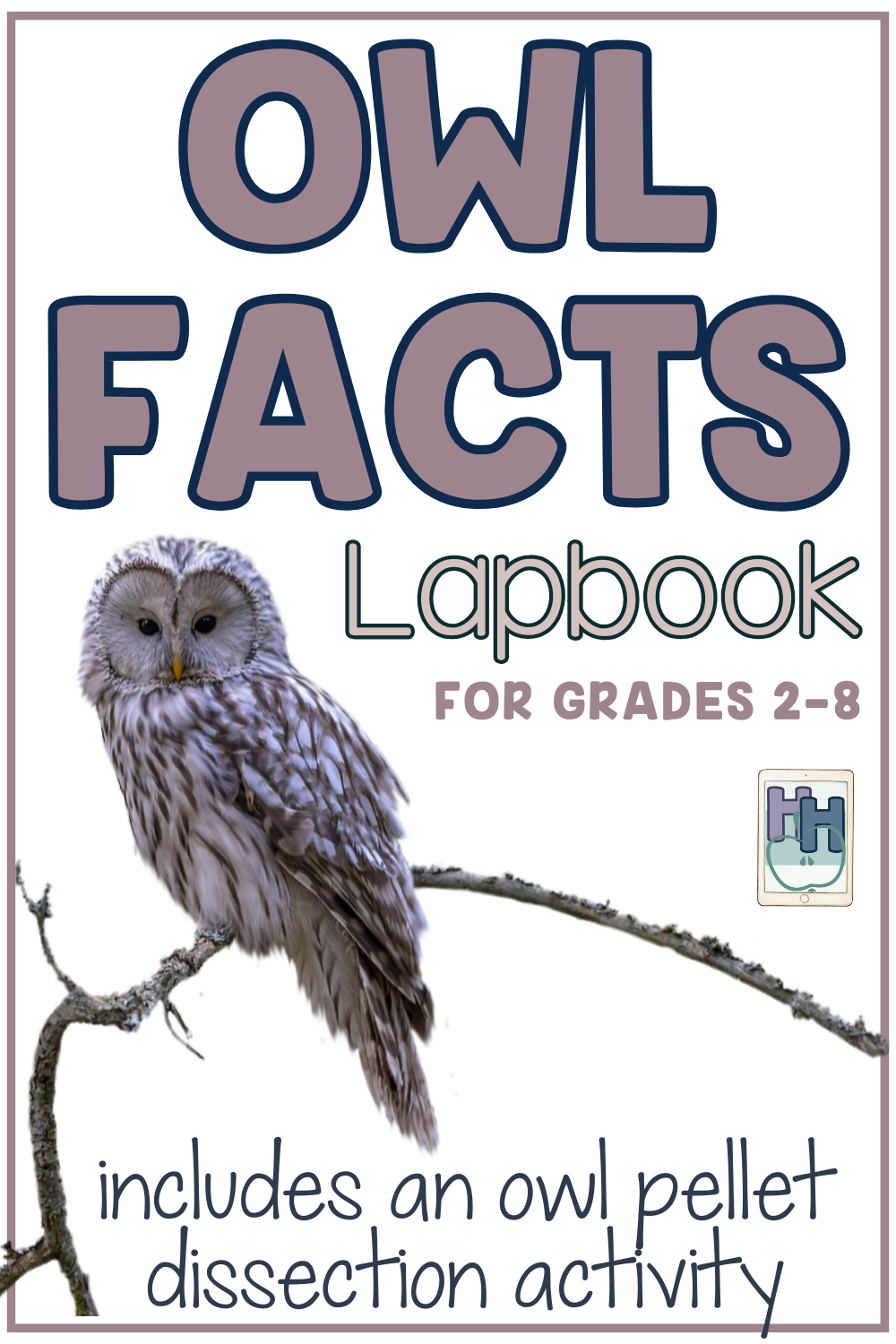 Owl facts lapbook for elementary and middle school