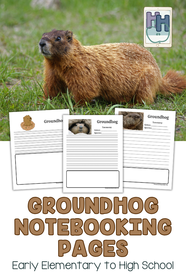 groundhog notebooking printables free