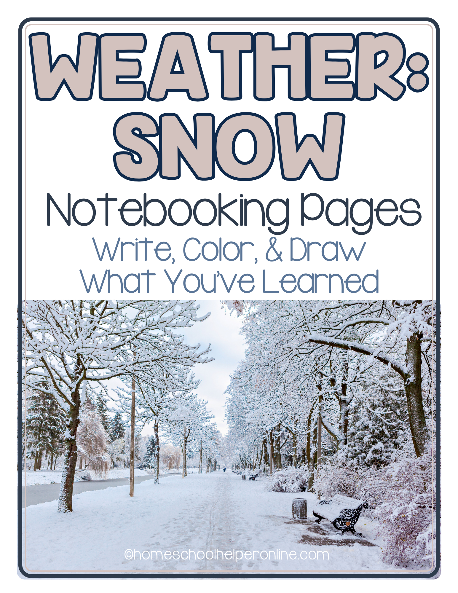 SNOW notebooking printables and mini nature study