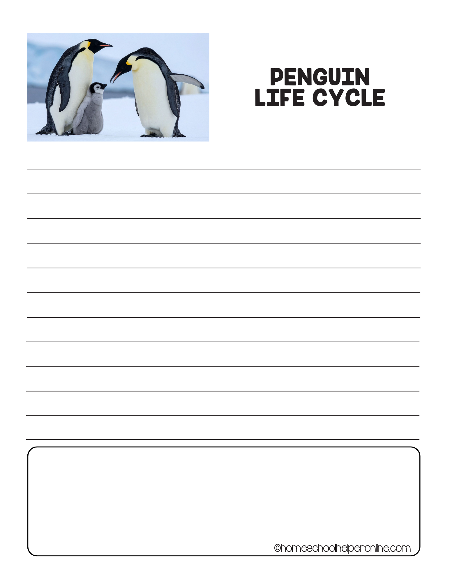 penguins science printable