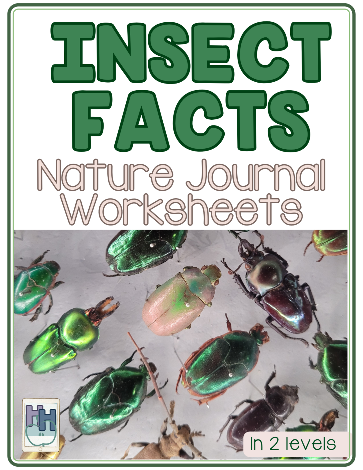 Label the Insect Worksheets for Elementary - Homeschool Helper Online