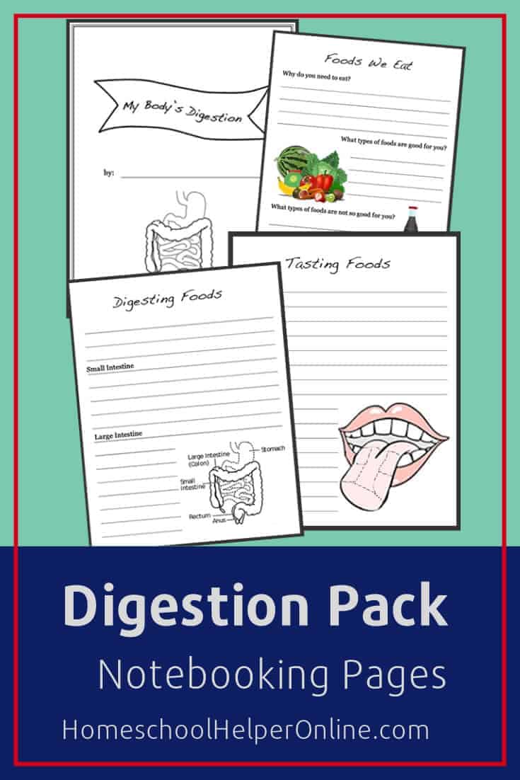 Free printable digestion notebooking