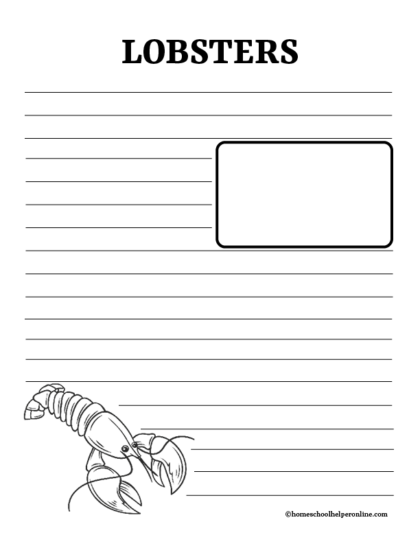 Lobster notebooking pages