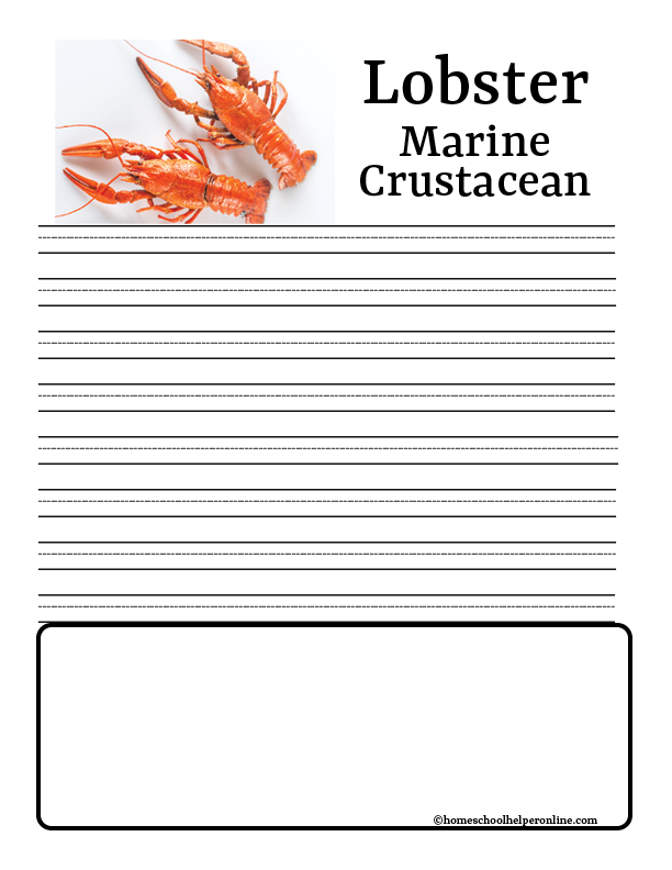 Lobster notebooking pages