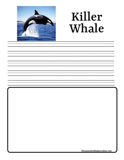 Orca Notebooking Pages for Elementary & Middle School Students ...