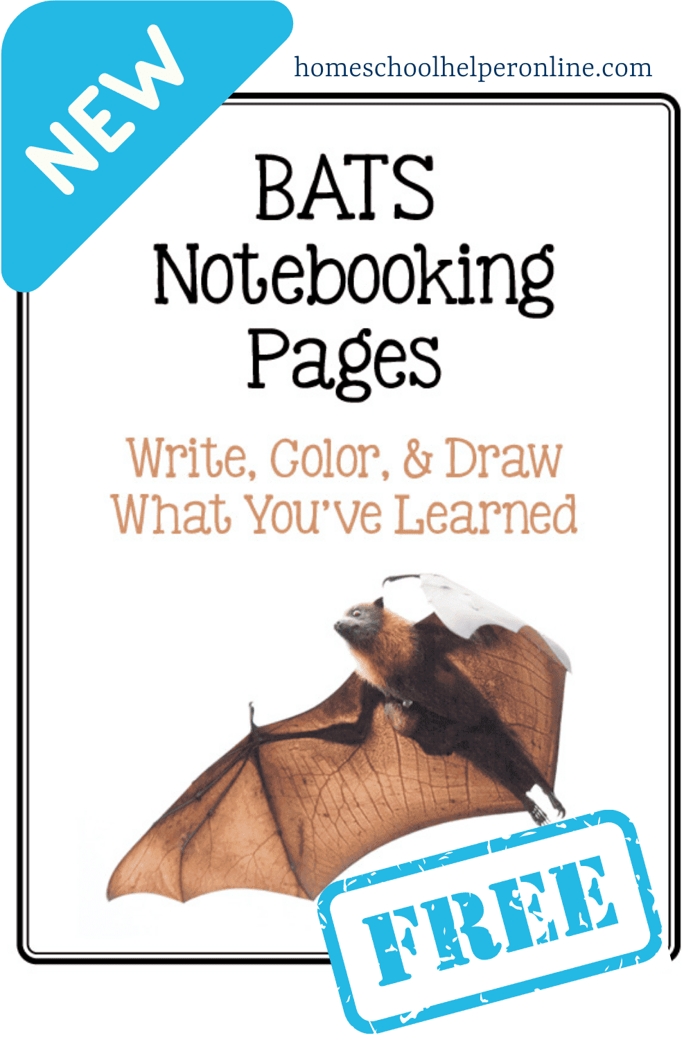 Bats notebooking pages printables pin