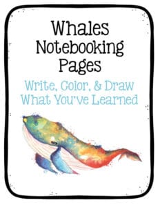 whales notebooking pages