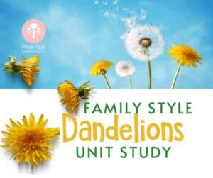 Dandelions Unit study for all ages