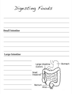 Digestion Notebooking