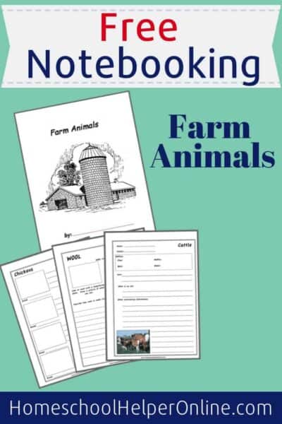 Domestic Ducks Notebooking Pages - Homeschool Helper Online