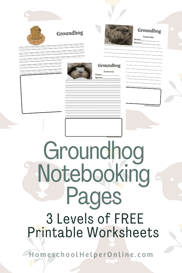 free groundhog printables pin