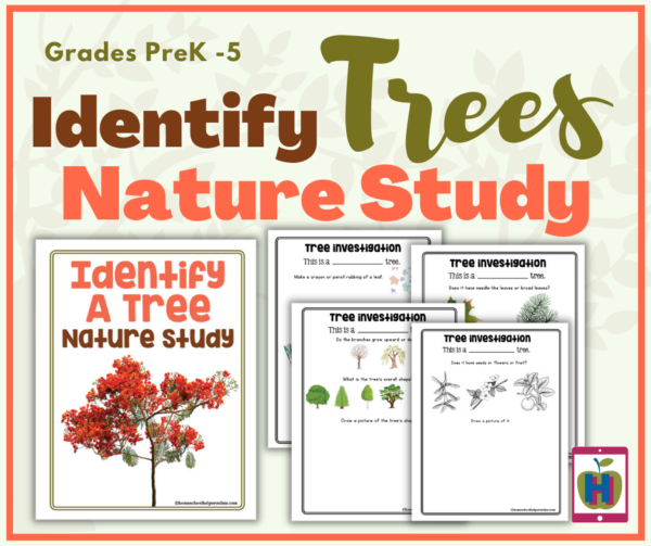 Identify a Tree Nature Study Journal Pages for Preschool to 5th graders ...