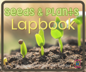 seeds and plants lapbook for elementary