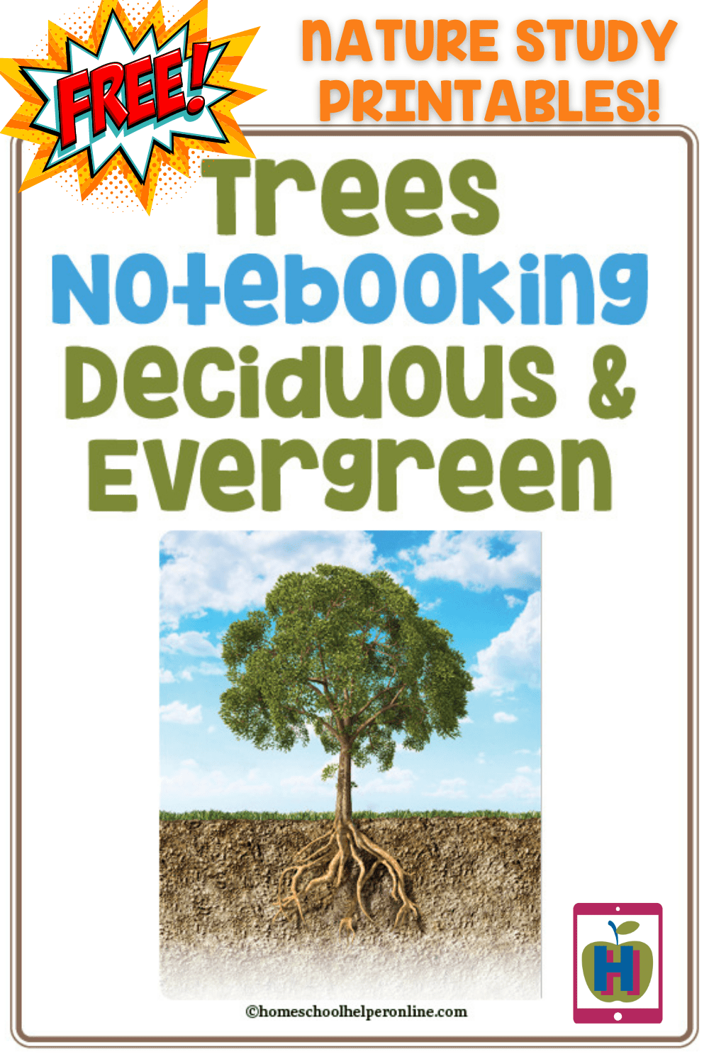 nature study trees journaling