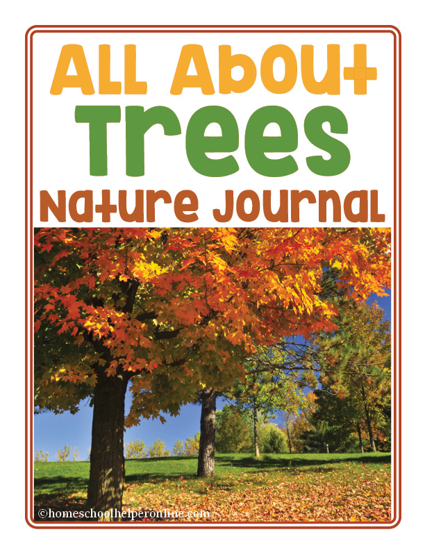 all about trees nature journal