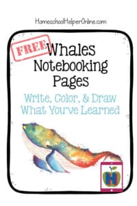 whales notebooking pages